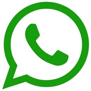 whatsapp dinkes Timor Tengah Selatan